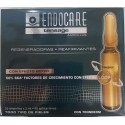 Endocare Tensage Ampollas 20 ampollas x 2 ml